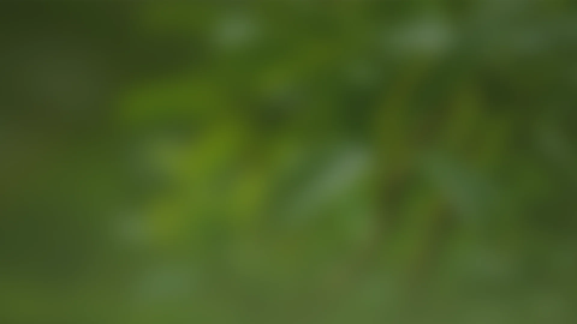 Размытый декоративный фон